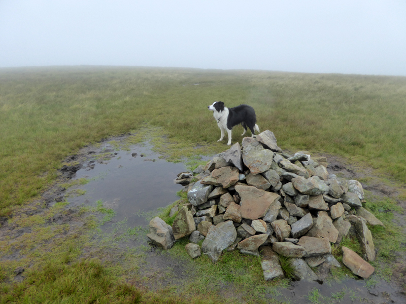 Great Sca Fell Summit